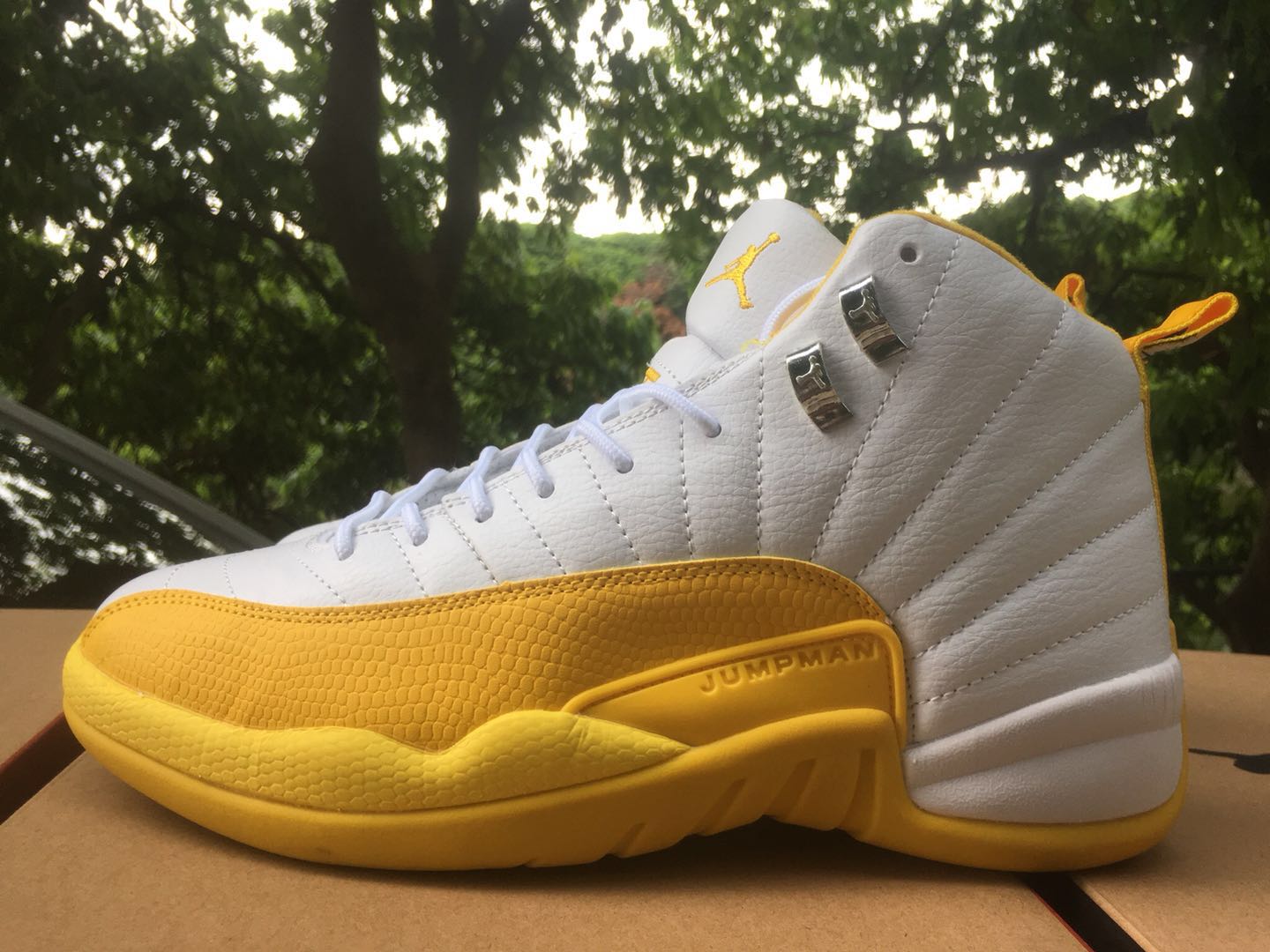 Air Jordan 12 White Yellow Shoes